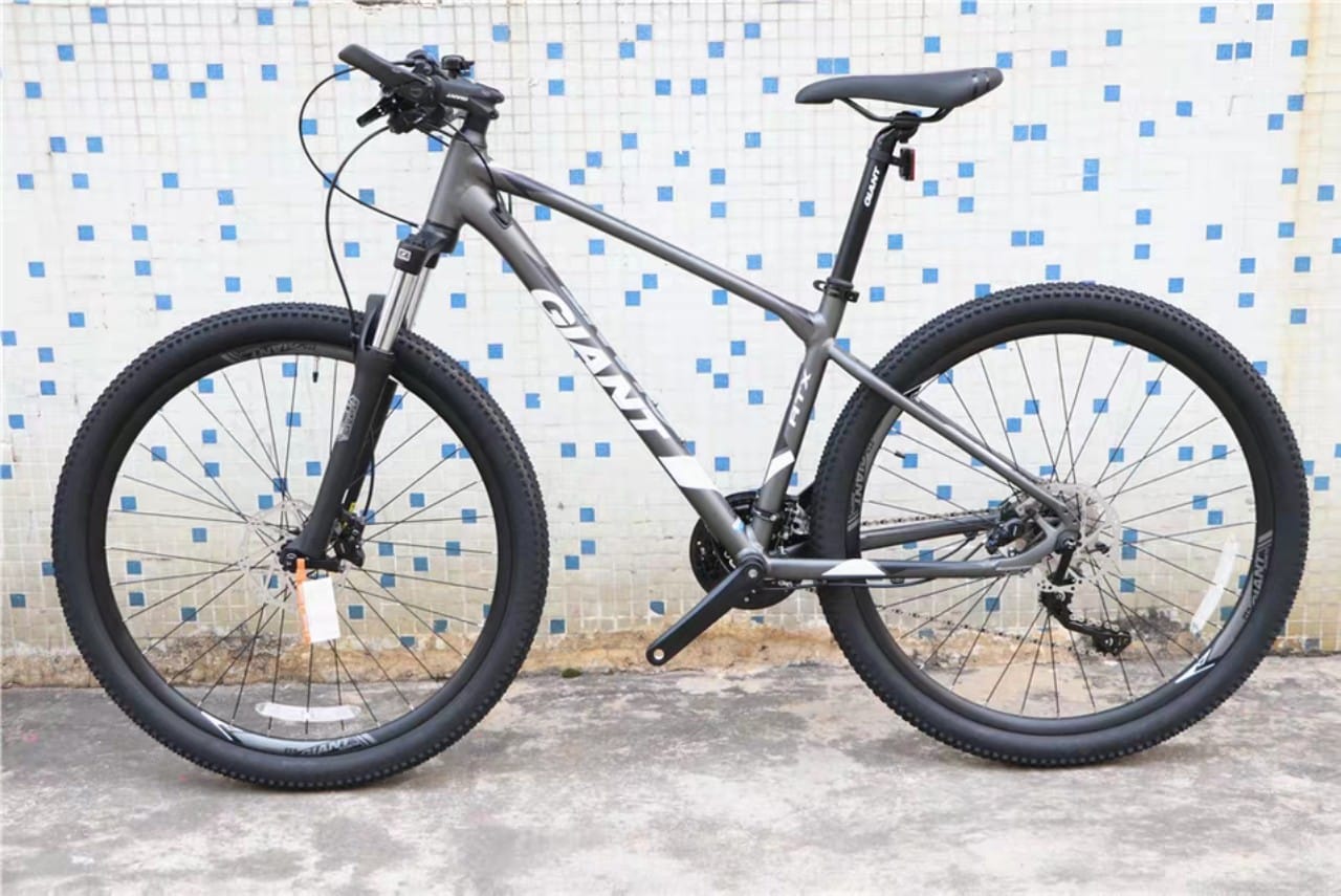 trek verve 2 xl