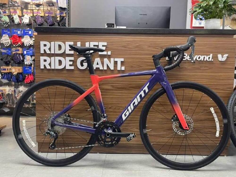 GIANT TCR LTD 2+ 2025