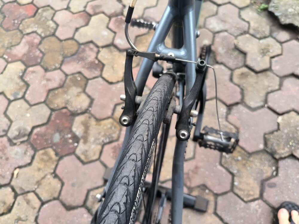bianchi-roma-iw-12 bianchi-roma-iw-12